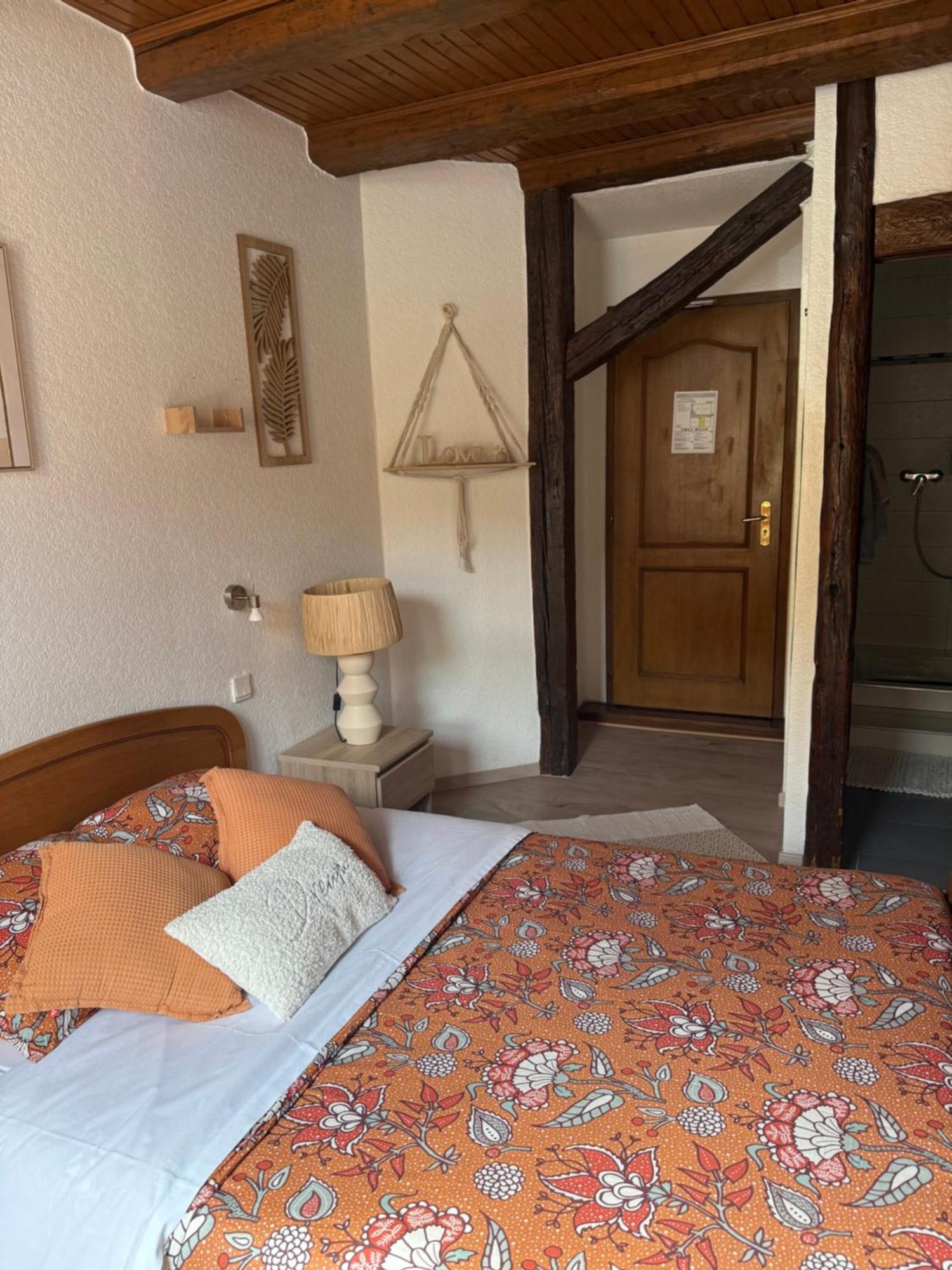 Hotel Wistub Le Passage Sainte-Marie-aux-Mines Esterno foto