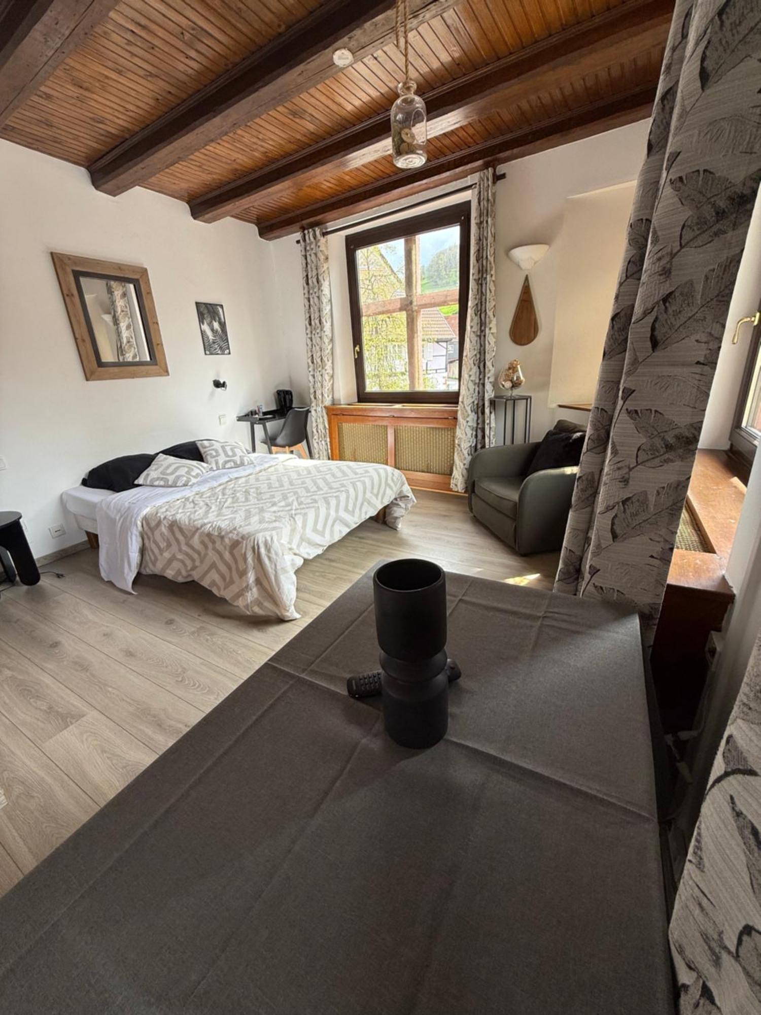 Hotel Wistub Le Passage Sainte-Marie-aux-Mines Esterno foto